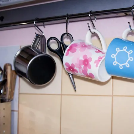 Simple Small Apartament