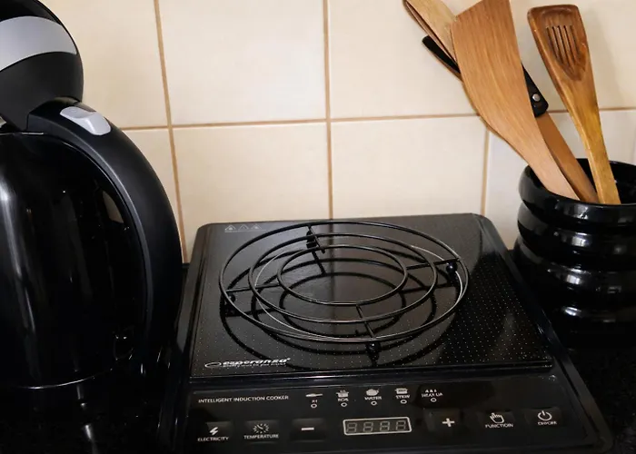 Simple Small Apartament Parnawa